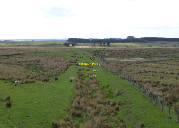 Photo 6"x4" Track-bed of former Northumberland Central Railway Rothley West Shield c2016