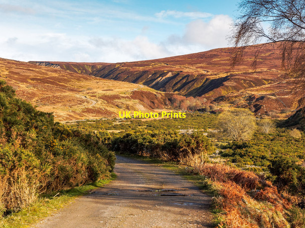 Photo 6"x4" Estate Track Garbhal Beag c2016