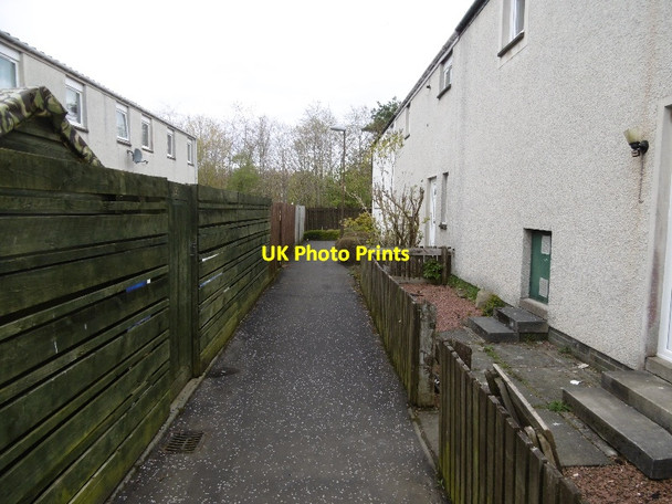 Photo 6"x4" Path, Clement Rise Livingston c2016