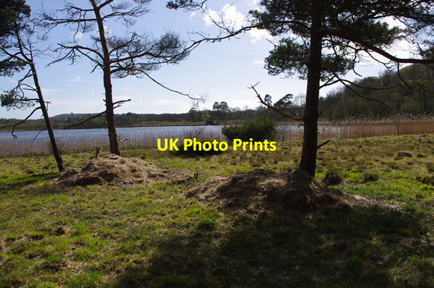 Photo 6"x4" Hawes Water Waterslack c2016