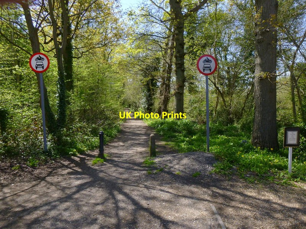 Photo 6"x4" Hackenden Lane enters woodland East Grinstead c2016