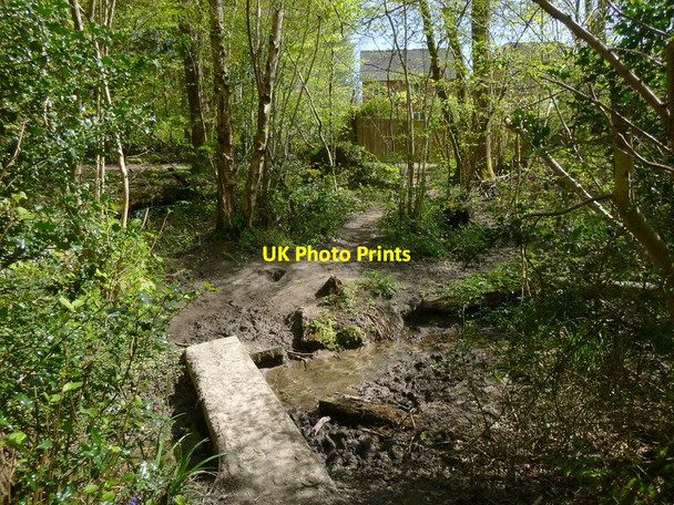 Photo 6"x4" Stream crossing in Ashplats Wood East Grinstead c2016