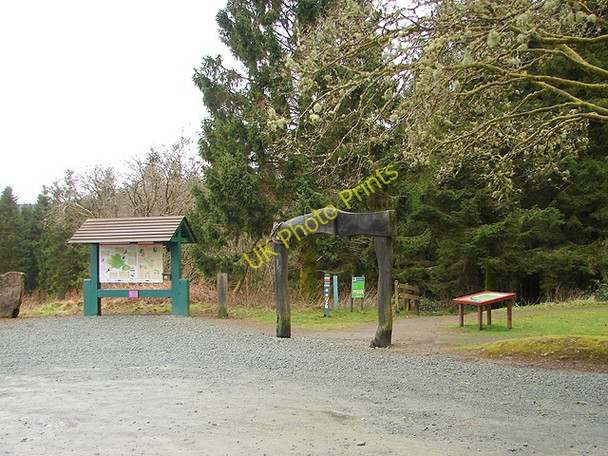 Photo 6"x4" The entrance to the Severn Way path at Rhyd-y-benwch Tynyrwtra\/SN8885 c2009