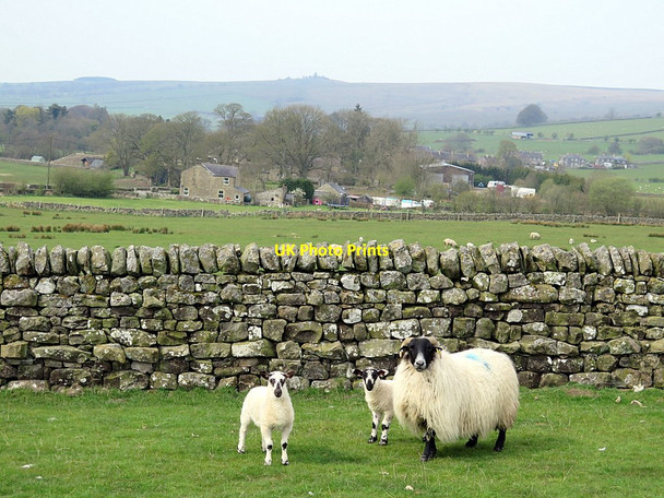 Photo 6"x4" Farmland near Townhead West Woodburn\/NY8986 c2016