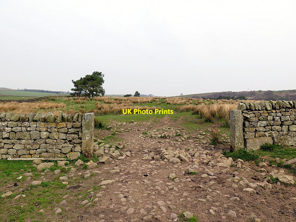 Photo 6"x4" Bridleway north of Townhead West Woodburn\/NY8986 c2016
