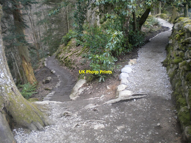 Photo 6"x4" Path junction in woods below Aira Force Dockray\/NY3921 c2016