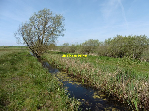 Photo 6"x4" Drain on West Sedge Moor Huntham c2016