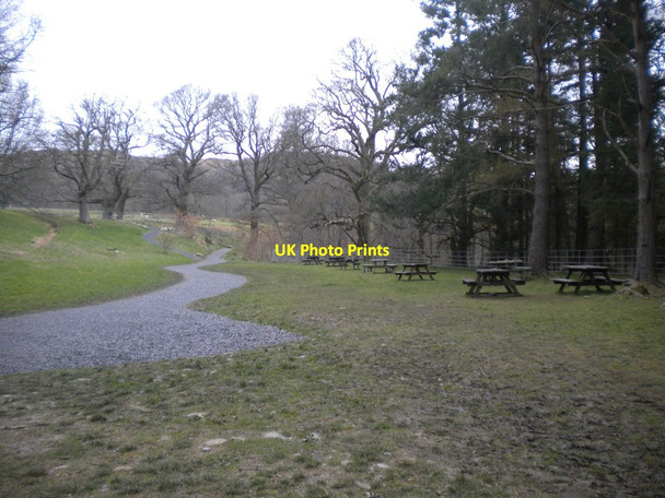 Photo 6"x4" Empty picnic site below Aira Force Dockray\/NY3921 c2016