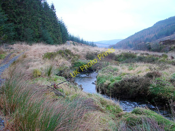 Photo 6"x4" Afon Hore, looking downstream, beside the Wye Valley Walk Pont Rhydgaled c2009