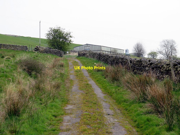 Photo 6"x4" Byway near Alder Hall East Woodburn c2016