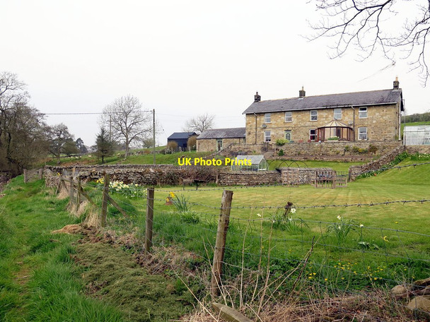 Photo 6"x4" Alder Hall above Lisles Burn East Woodburn c2016