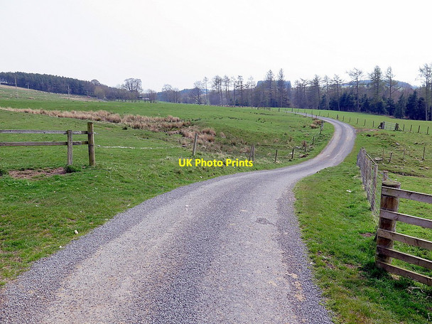 Photo 6"x4" Road east of Blakelaw East Woodburn c2016