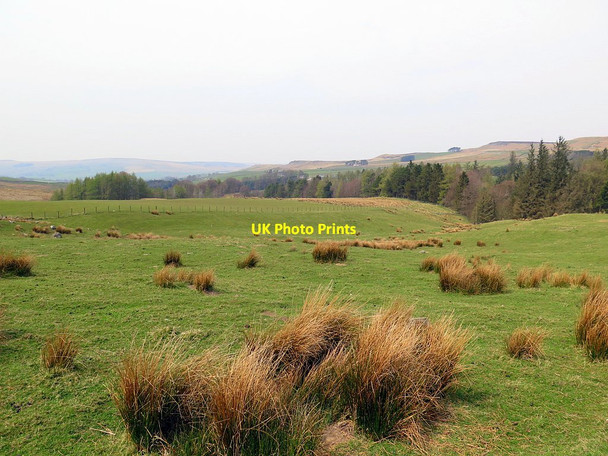 Photo 6"x4" Farmland south of Lisles Burn Dene East Woodburn c2016