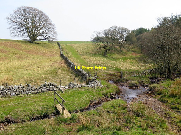 Photo 6"x4" Bridleway ford over Risey Burn East Woodburn c2016