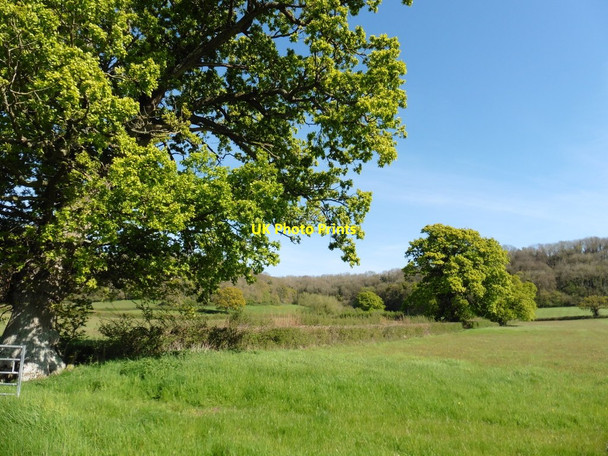 Photo 6"x4" Fields near Eastwood Farm Swell c2016
