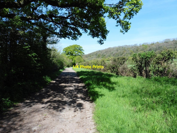 Photo 6"x4" South Drove Heale\/ST3825 c2016