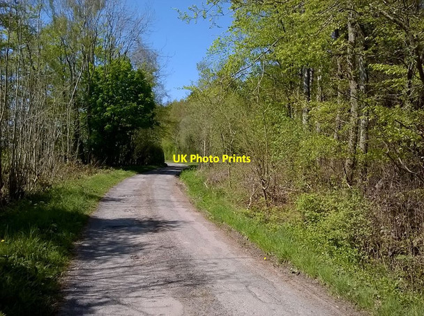 Photo 6"x4" Harome Heads Lane Beadlam c2016