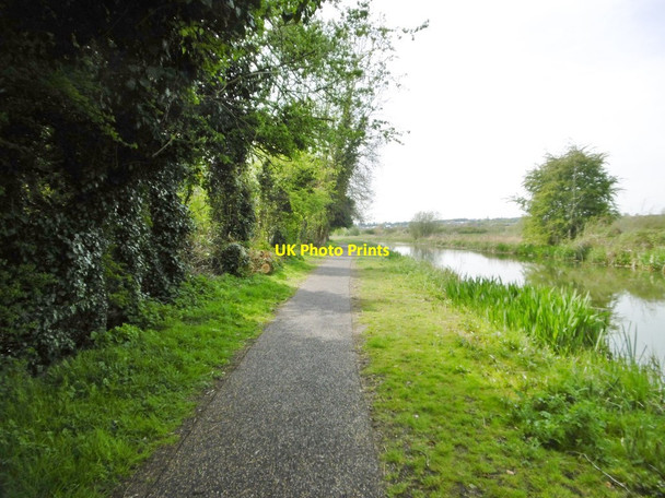 Photo 6"x4" Far Cotton, towpath Northampton\/SP7561 c2016