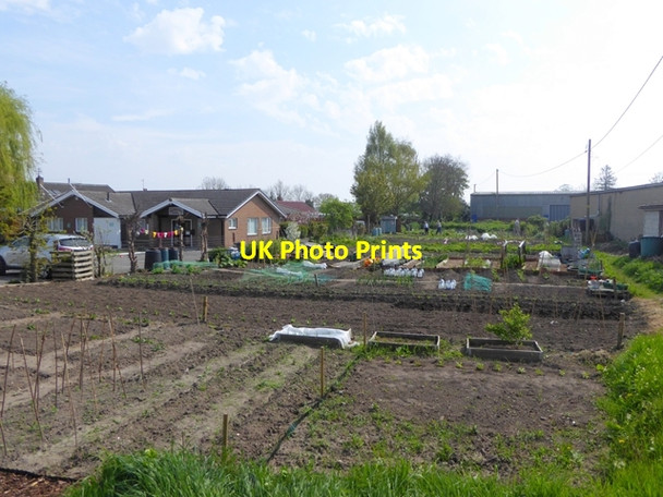 Photo 6"x4" Allotments in Church Street, Donington Donington\/TF2135 c2016