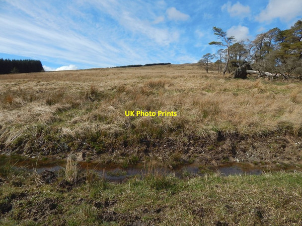 Photo 6"x4" Slopes above footpath Helensburgh c2016