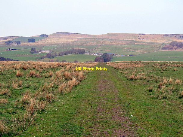Photo 6"x4" Bridleway to Blakelaw East Woodburn c2016
