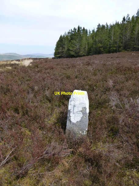 Photo 6"x4" Boundary stone Low Alwinton c2016