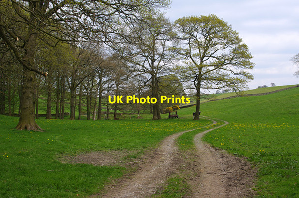 Photo 6"x4" Track skirting Oak Wood Goose Green\/SD5484 c2016