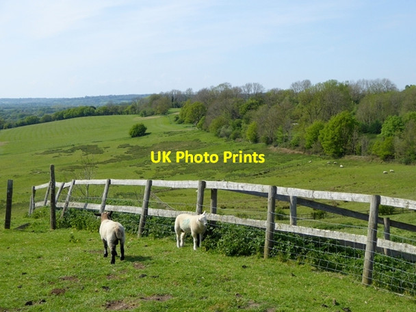 Photo 6"x4" Escarpment of the Greensand Ridge Pluckley c2016 P1