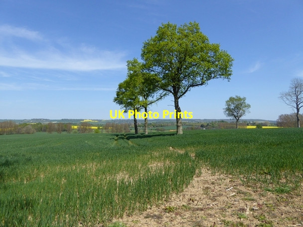 Photo 6"x4" Field beside Nettlepole Lane Barnfield\/TQ9247 c2016