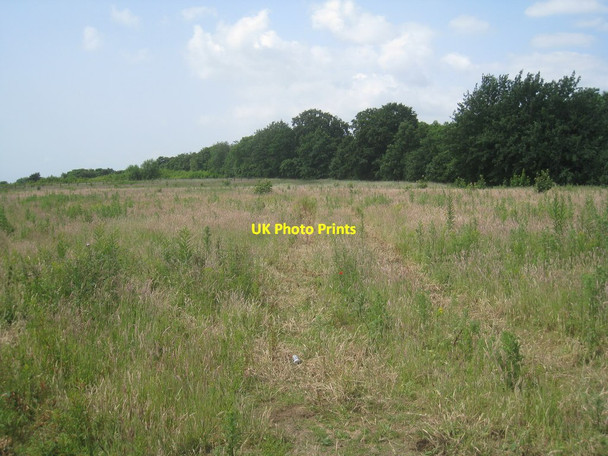 Photo 6"x4" Waste ground and woodland near the William Harvey Hospital Willesborough Lees c2013