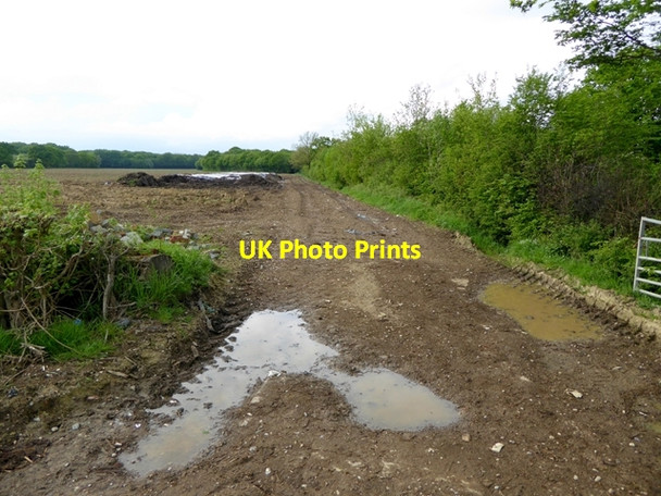 Photo 6"x4" Field entrance off Plurenden Road Shirkoak c2016
