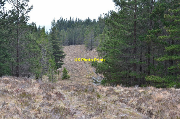 Photo 6"x4" Path in forest ride, Attadale Strathan\/NG9338 c2016