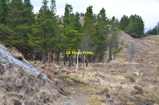 Photo 6"x4" Path to Attadale Strathan\/NG9338 c2016