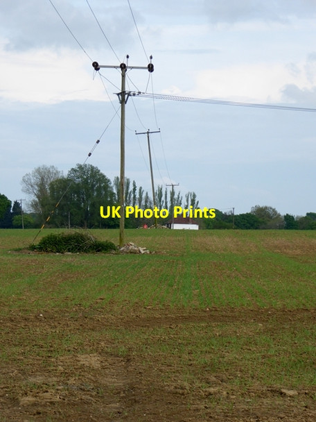 Photo 6"x4" Line of electricity poles Shirkoak c2016