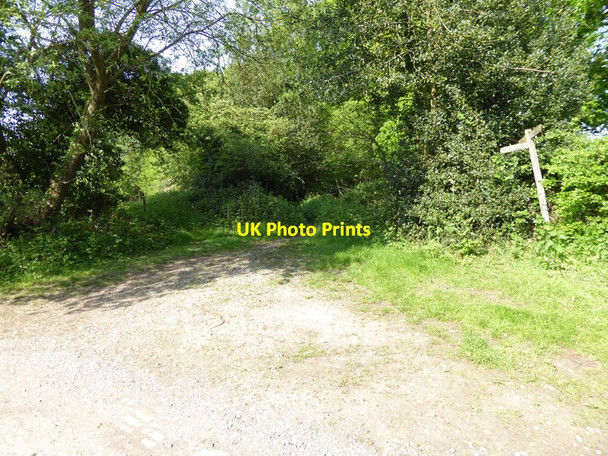 Photo 6"x4" Footpath junction at Old Rowfant Crabbet Park c2016