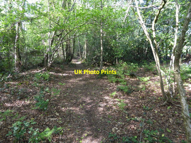 Photo 6"x4" Footpath goes north towards Copthorne Copthorne\/TQ3139 c2016