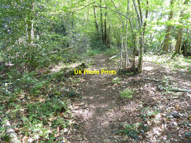 Photo 6"x4" Footpath goes south towards Old Rowfant Copthorne\/TQ3139 c2016