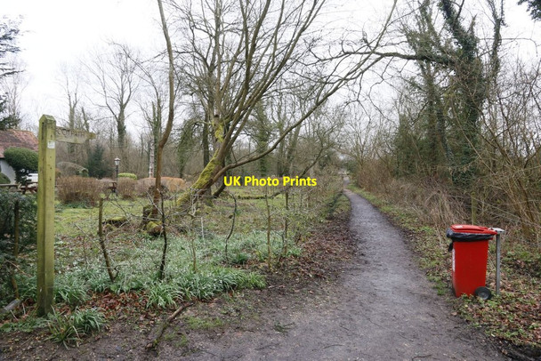 Photo 6"x4" Bin by the Footpath Ovington\/SU5631 c2016