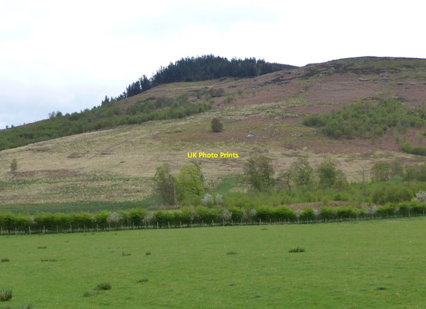 Photo 6"x4" The Beacon or Dues Hill Holystone c2016