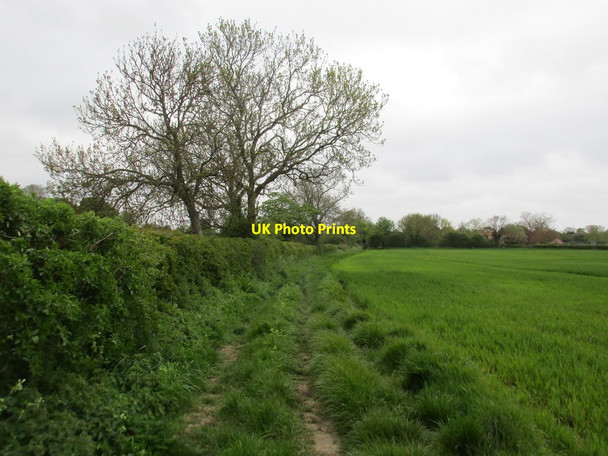 Photo 6"x4" Footpath to Humberston Humberston\/TA3105 c2016