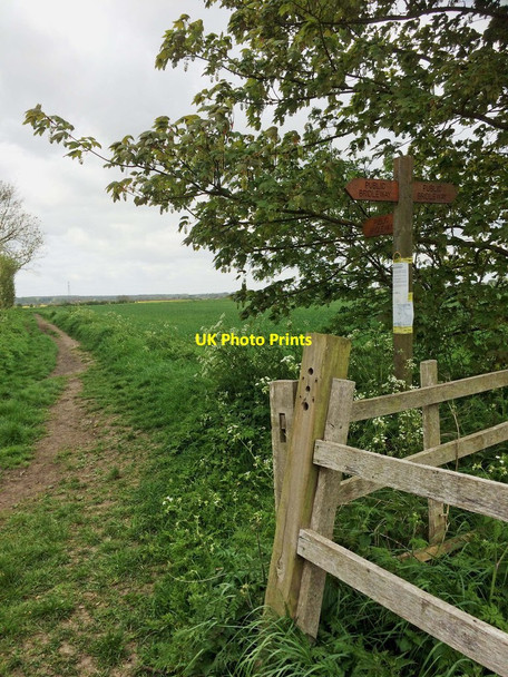Photo 6"x4" Bridleway junction Bradley\/TA2406 c2016