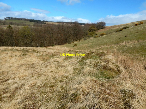 Photo 6"x4" Old boundary Dumbarton c2016