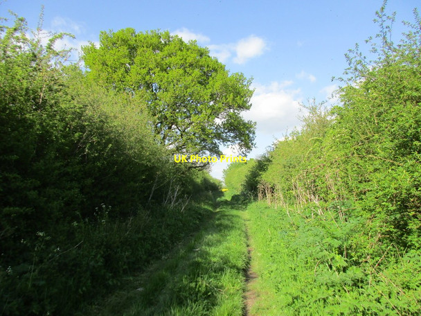 Photo 6"x4" Orston Lane Whatton-in-the-Vale c2016