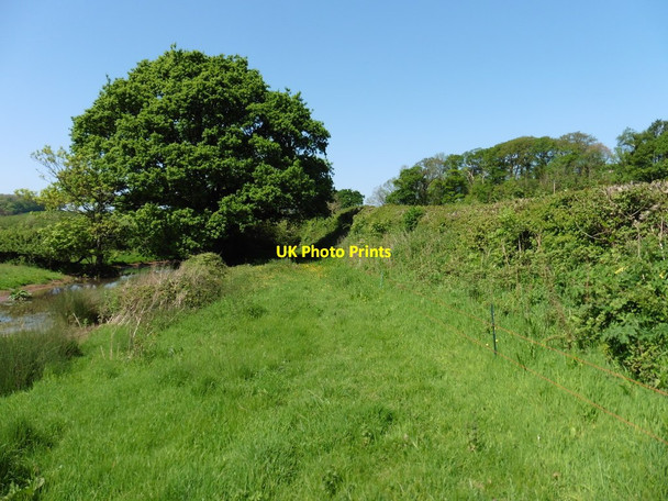 Photo 6"x4" Trackbed of the former West Somerset Mineral Railway Hungerford\/ST0440 c2016