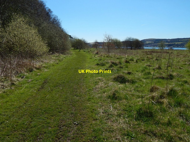 Photo 6"x4" Brucehill Cliffs and Havoc Grassland Dumbarton c2016
