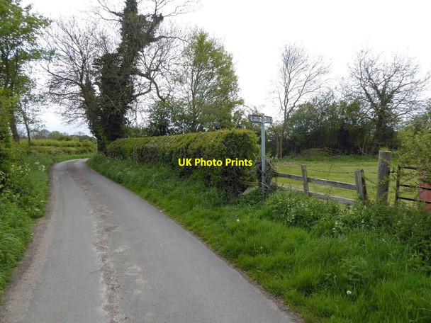 Photo 6"x4" Footpath either side of the lane Grimoldby c2016