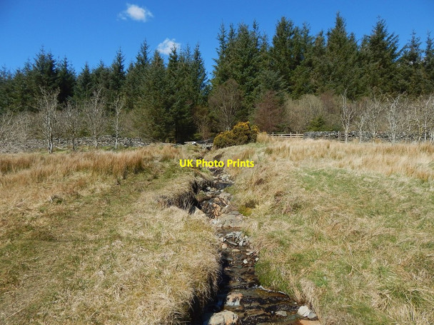 Photo 6"x4" Burn flowing from Highlandman's Wood Helensburgh c2016
