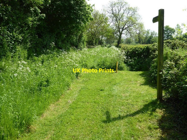 Photo 6"x4" Footpath to Baughton Baughton c2016