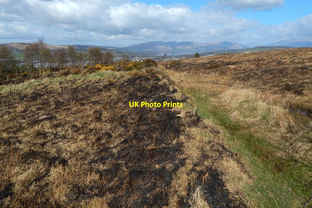 Photo 6"x4" Old boundary Alexandria c2016