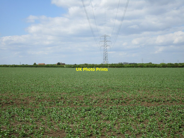 Photo 6"x4" Beneath the power lines Aslockton c2016